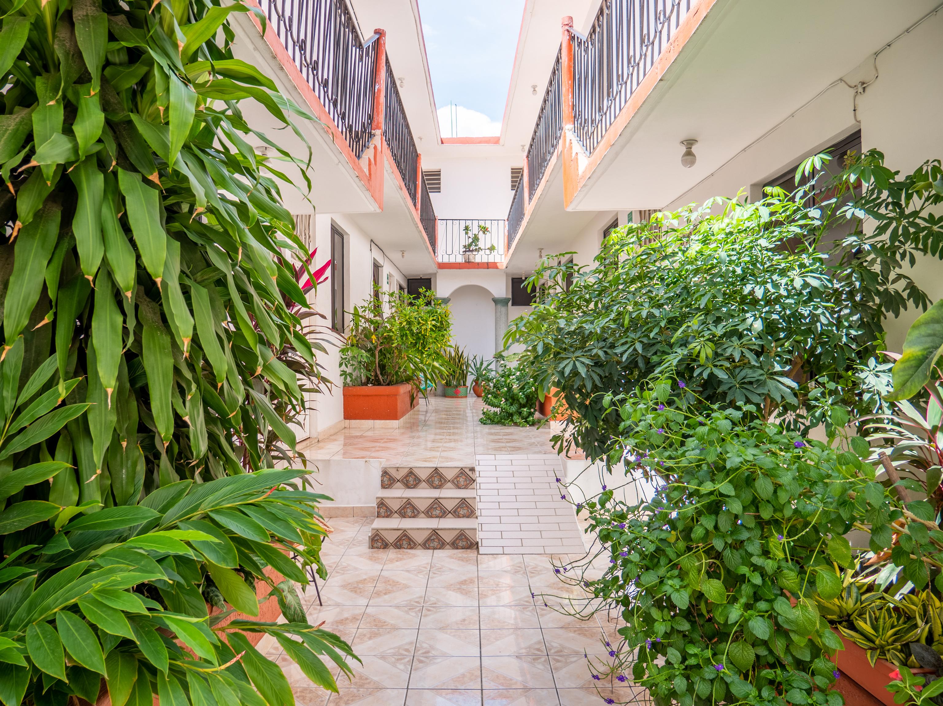 Oyo Hotel Arena Surf, Puerto Escondido Puerto Escondido  Esterno foto